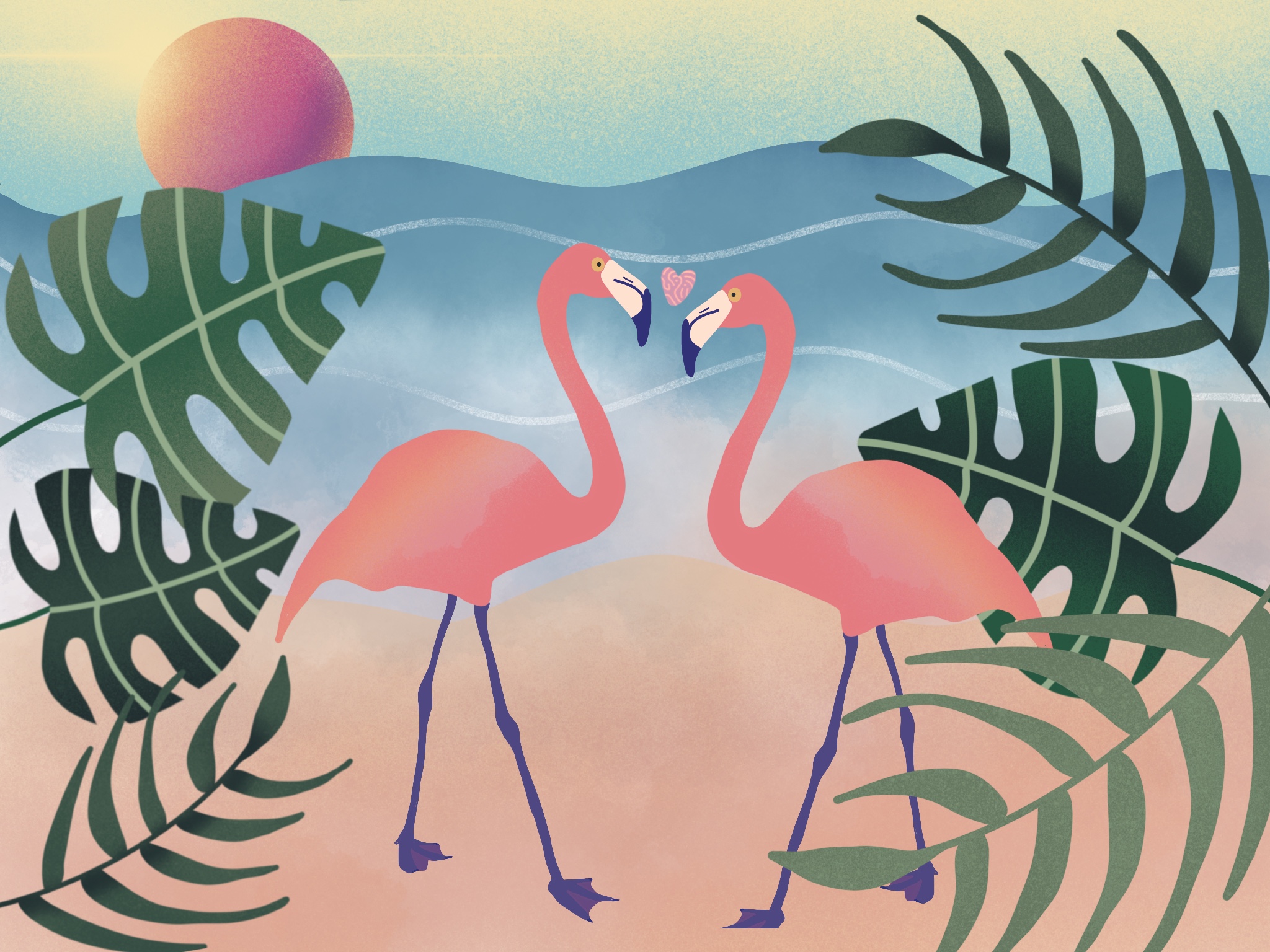 Read more about the article Flamingos in Love
